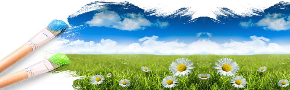 ShutterstockMeibloemen